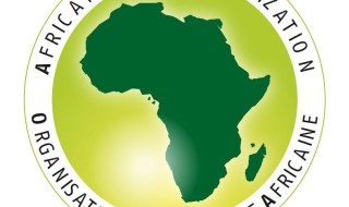 African_Press_Organization-APO