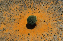 terre-afrique