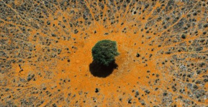 terre-afrique