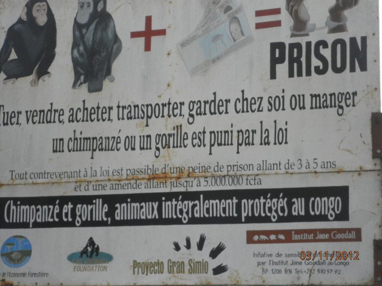 Fermeture de la chasse au CONGO Brazzaville