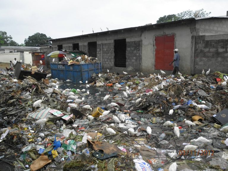 Gestion des ordures ménagères au Congo Brazzaville
