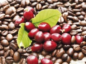 arabica_africa