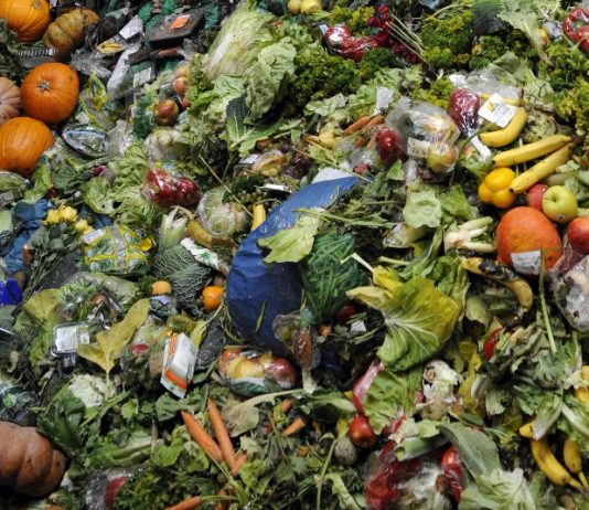 Alimentation: 50% de la nourriture mondiale est détruite