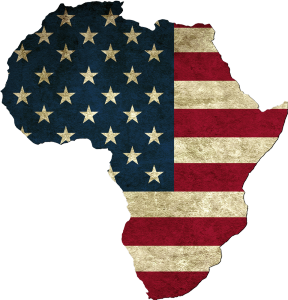 usa-info-afrique.com