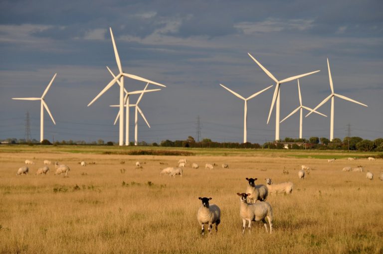 Maroc: appel d’offres de 1,24 milliard € pour la construction de cinq parcs éoliens