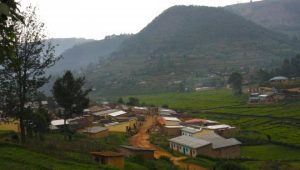 Giti au Rwanda