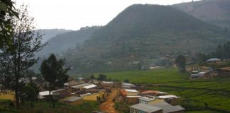 Giti au Rwanda