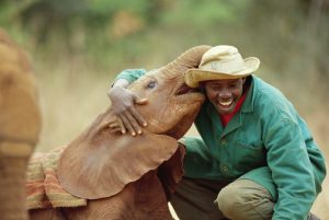 orphelinat éléphants