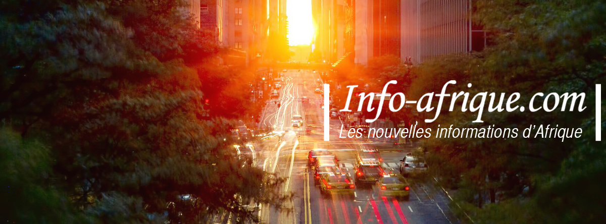 Afrique-nouvelles-technologies_enjeux-perpectives Afrique et Nouvelles technologies, enjeux et perspectives
