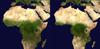 Une comparaison cartographique entre l'Afrique de 2015 et celle de 3015