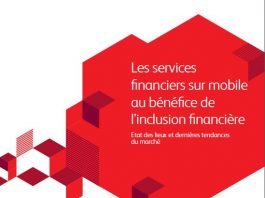 L'excellent livre blanc de BearingPoint "Les services financiers sur mobile au bénéfice de l'inclusion financière"