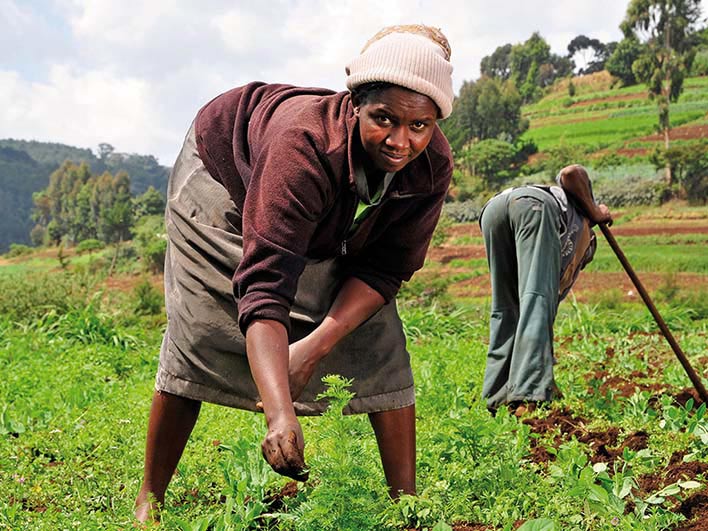 L’Agence des Nations Unies décaisse 33,8 millions pour l’agriculture en RDC