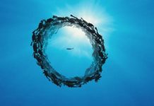 Un accord novateur en matière de pêche illégale pêche illégale Afrique