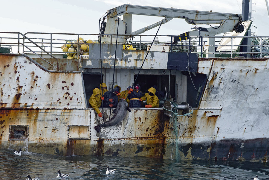 pêche illégale Afrique