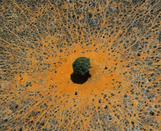 Disparition de l’eau : migrations, recul du PIB et… Conflits