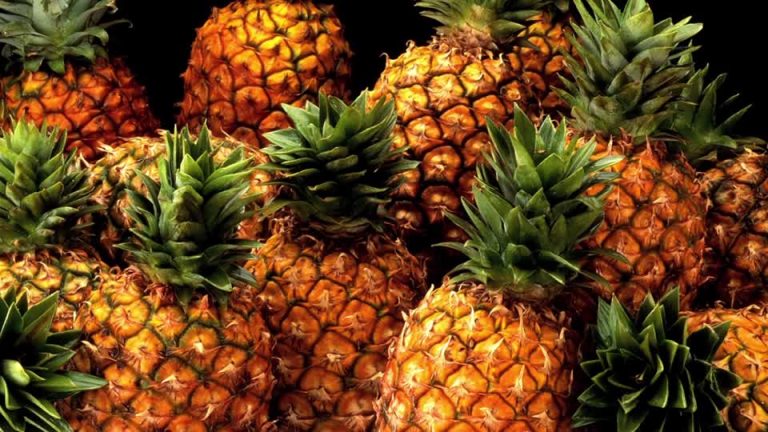Au Ghana, l’ananas ouvre de nouvelles perspectives