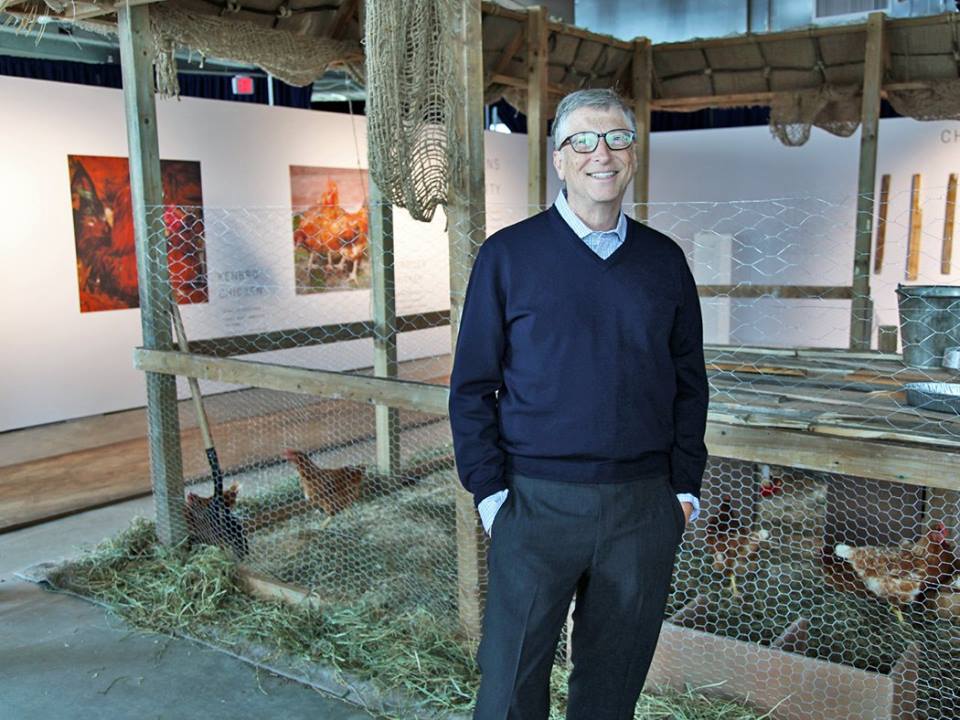 bill-gates-et-les-poules