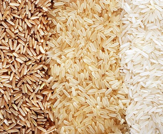 Les conseils agricoles plombent le monde rural