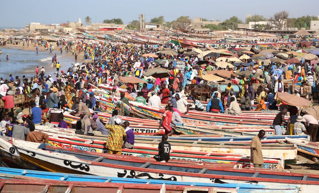 Pêche au Sénégal -  Crédit photo Thierry Barbaut