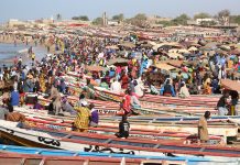 Pêche au Sénégal - Crédit photo Thierry Barbaut