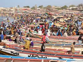 Pêche au Sénégal - Crédit photo Thierry Barbaut