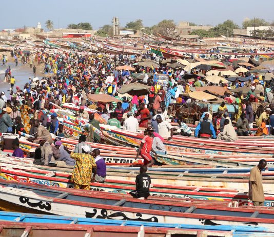 Pêche au Sénégal - Crédit photo Thierry Barbaut