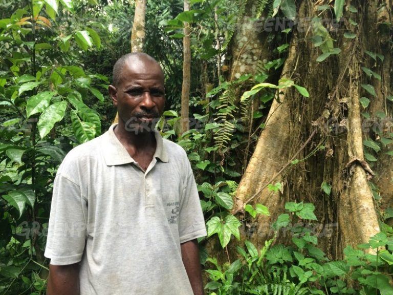 244 fermiers camerounais portent plainte contre la plantation de palmiers à huile SGSOC