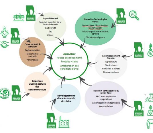 COP 22 : oui, l’Agriculture africaine peut relever le défi environnemental !