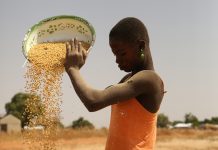 Femme burkinabé travaillant la séparation du grain et de la poussière avec le vent - Thierry Barbaut 2017