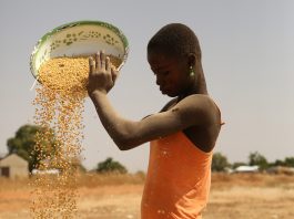 Femme burkinabé travaillant la séparation du grain et de la poussière avec le vent - Thierry Barbaut 2017