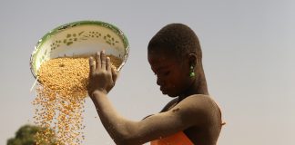 Femme burkinabé travaillant la séparation du grain et de la poussière avec le vent - Thierry Barbaut 2017