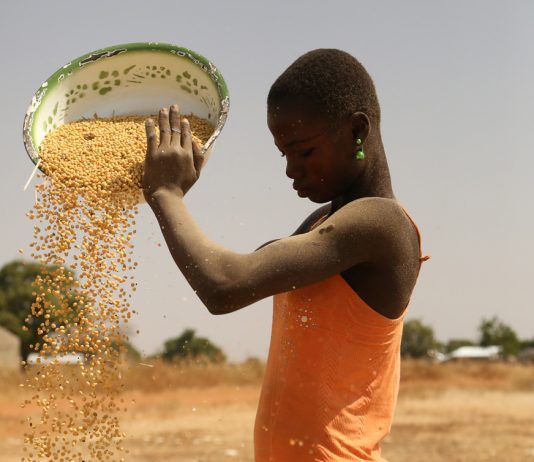 Femme burkinabé travaillant la séparation du grain et de la poussière avec le vent - Thierry Barbaut 2017