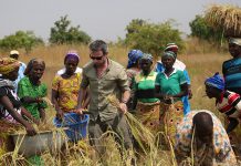 Programme de culture de riz et d'alphabétisation dans la région de Dapaong au Togo - Thierry Barbaut