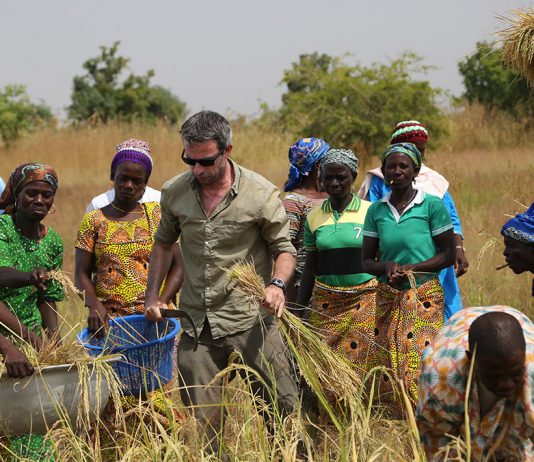 Programme de culture de riz et d'alphabétisation dans la région de Dapaong au Togo - Thierry Barbaut