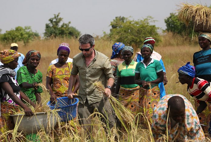 Programme de culture de riz et d'alphabétisation dans la région de Dapaong au Togo - Thierry Barbaut