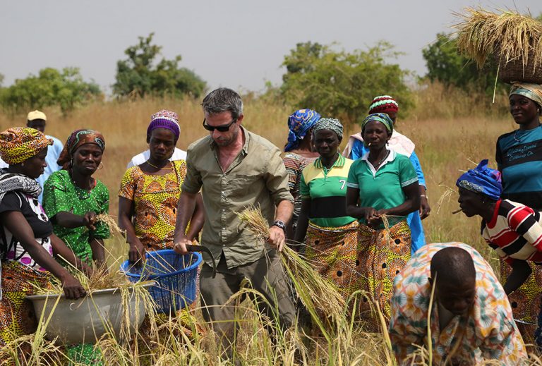 Cameroun : La rareté des semences plombe la productivité agricole