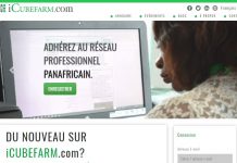 Augmenter votre potentiel de recrutement de candidats qualifiés en publiant vos offres d’emploi sur le portail de l’emploi Panafricain: iCUBEFARM.com