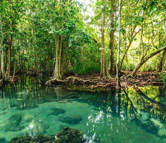 40 millions pour le fonds Livelihoods