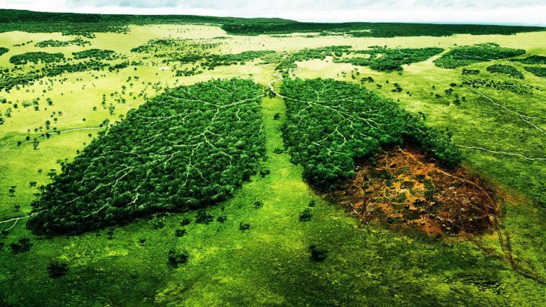 Des infrastructures vertes contre les catastrophes climatiques
