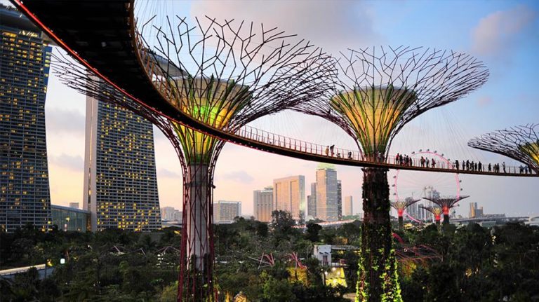 Prenons des forces pour le Africa Singapore Business Forum