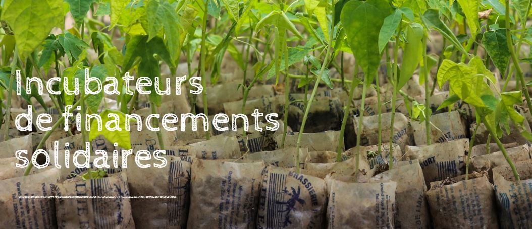 PortailSolidaire Le Portail Solidaire, un projet de l'ONG La Guilde avec son programme l'Agence des Micro Projets