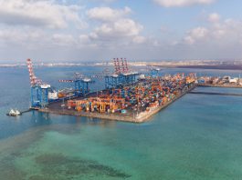 Les ambitions de Djibouti ne se limitent pas au port de Doraleh. Le terminal à conteneurs constitue l'une des pièces maîtresses d'un ambitieux projet de développement national : faire de Djibouti un hub commercial et logistique de premier plan entre l'Asie, l'Afrique et le reste du monde