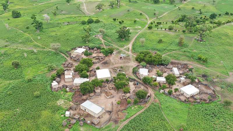 cropped-BearingPoint-Nouvel-or-vert-afrique.jpg