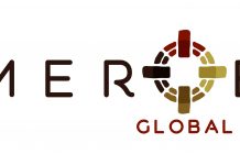 Logo Meroe Global