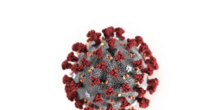 épidémie coronavirus covid-19