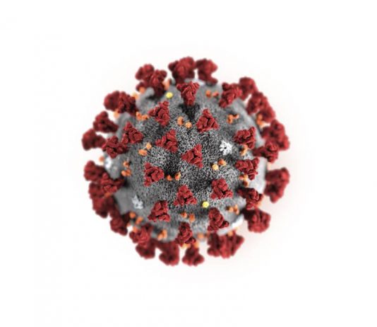 épidémie coronavirus covid-19