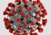 Virus COVID 19 - épidémie coronavirus