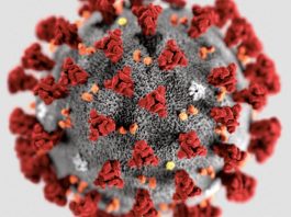 Virus COVID 19 - épidémie coronavirus