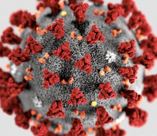 L’UNESCO mobilise face à l’urgence COVID-19 Virus COVID 19 - épidémie coronavirus