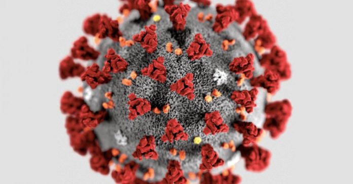 COVID19 Virus COVID 19 - épidémie coronavirus